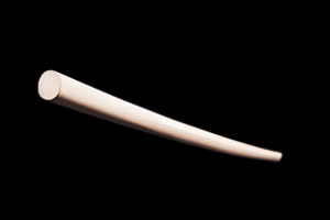 Detailbild High-Speed Bokken
